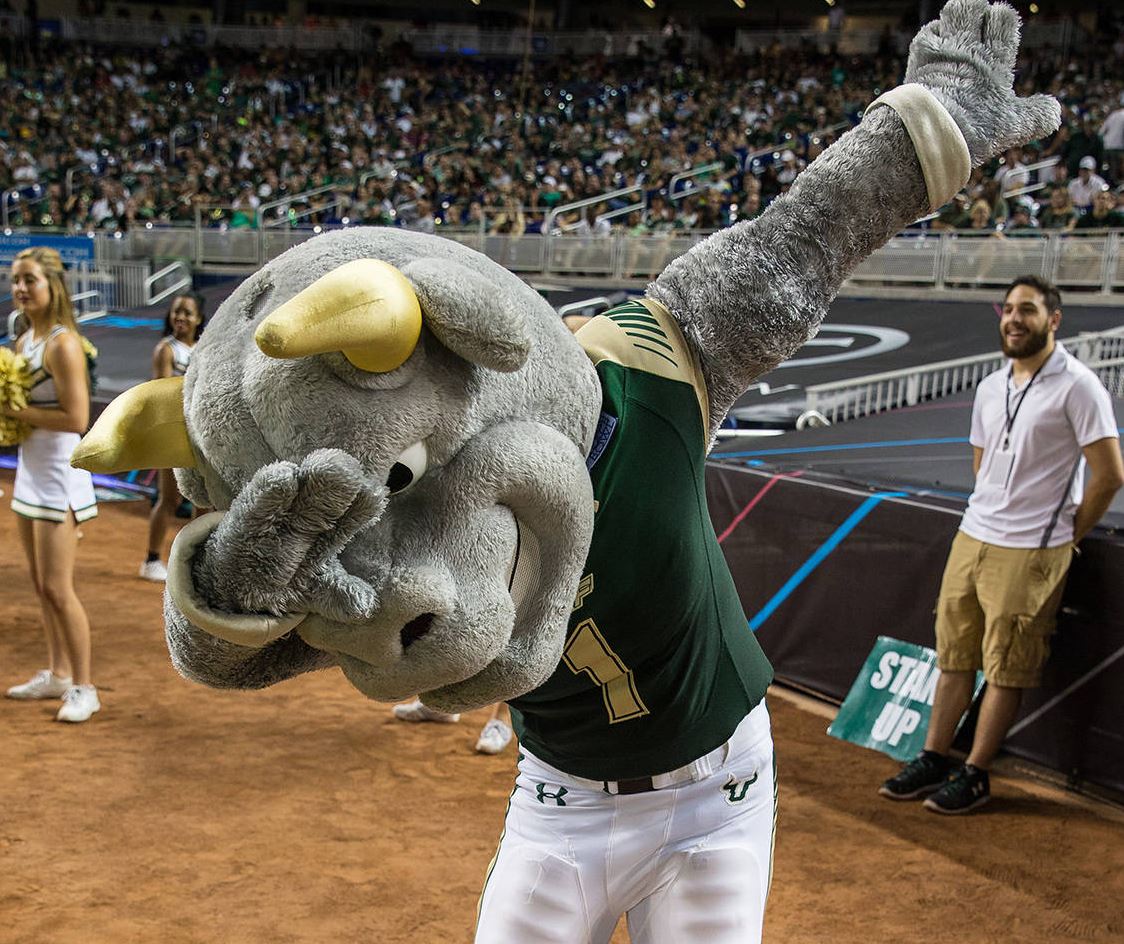 [Image: usf-mascot-rocky-the-bull-does-the-dab-i...l-2015.jpg]