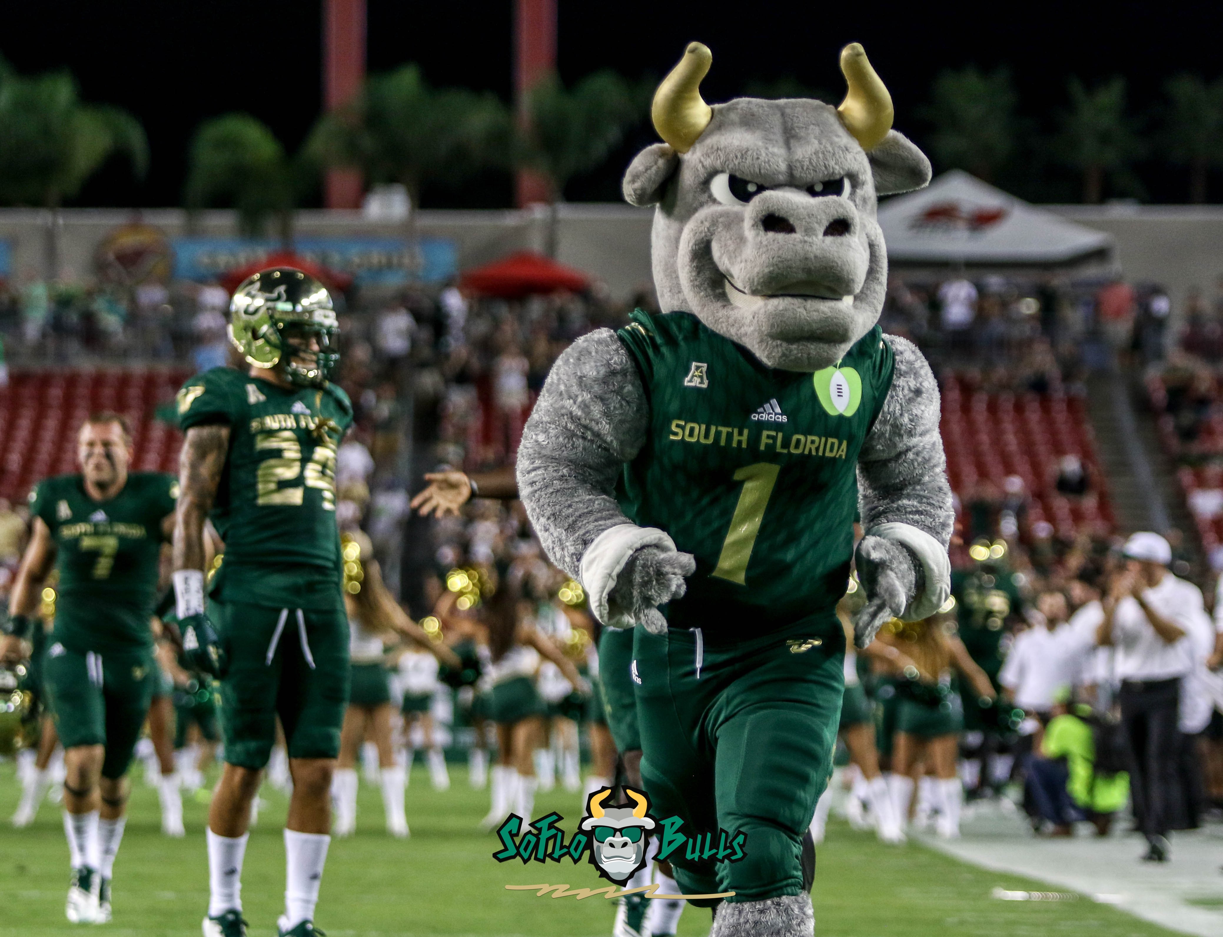 December 23, 2017; Birmingham, AL, USA; USF Mascot, ROCKY THE BULL, poses  during the NCAA D1 football game in Birmingham. The University of South  Florida Bulls defeated the Texas Tech Raiders, 38-34